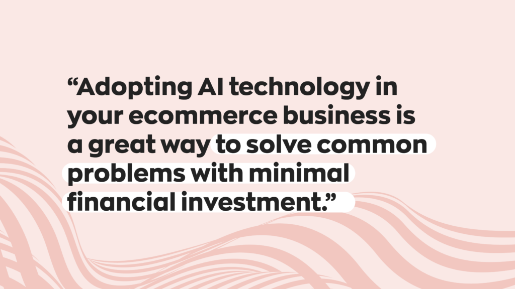 “Adopting AI technology in your ecommerce business is a great way to solve common problems with minimal financial investment.”